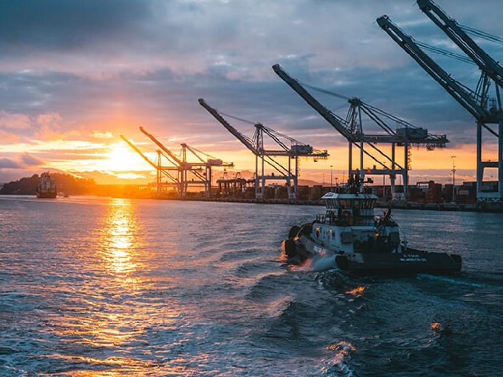 webgo ist der sichere Hafen für Ihre Online-Projekte, samt Ihrer Ideen und Webseiten!.
